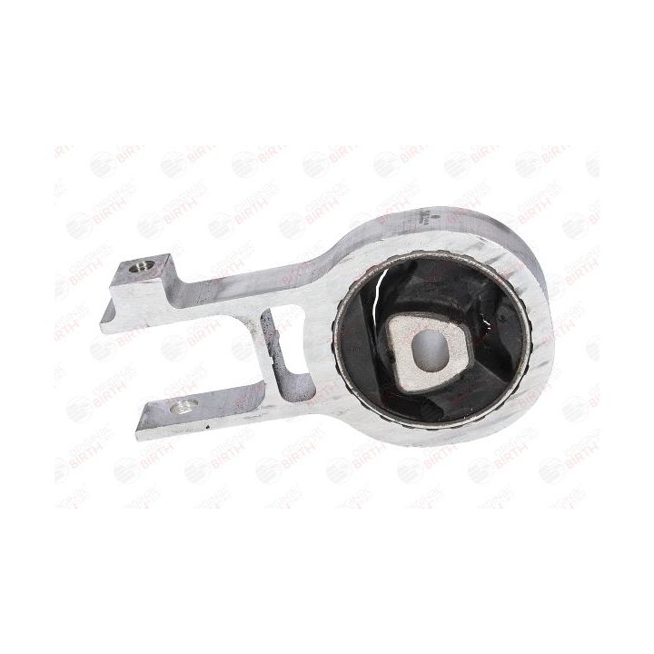 Variklio montavimas BIRTH 52138