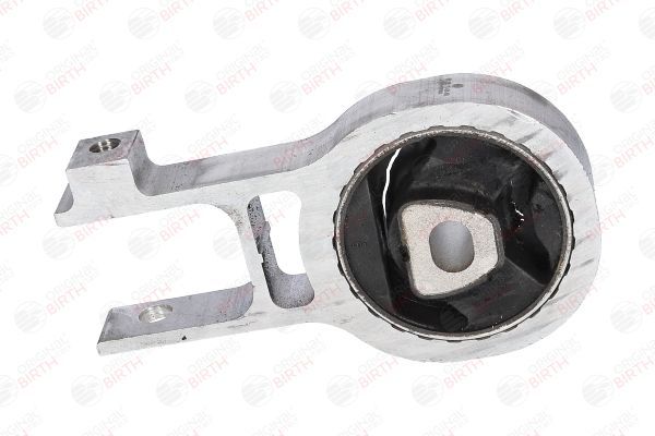 Variklio montavimas BIRTH 52138