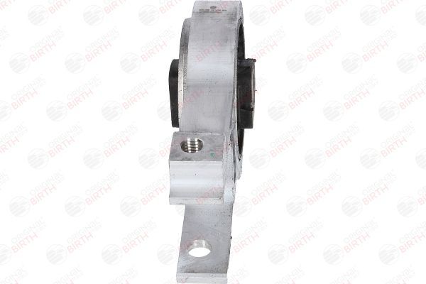 Variklio montavimas BIRTH 52138