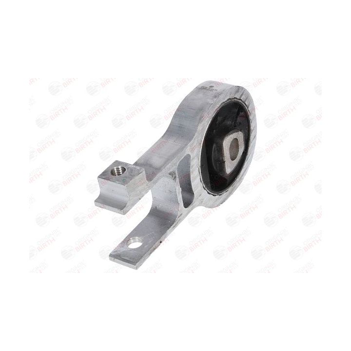 Variklio montavimas BIRTH 52138