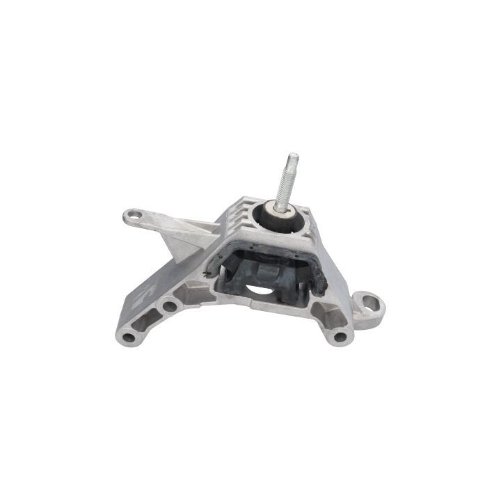 Variklio montavimas BIRTH 52140