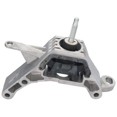 Variklio montavimas BIRTH 52140