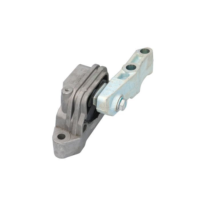 Variklio montavimas BIRTH 52141