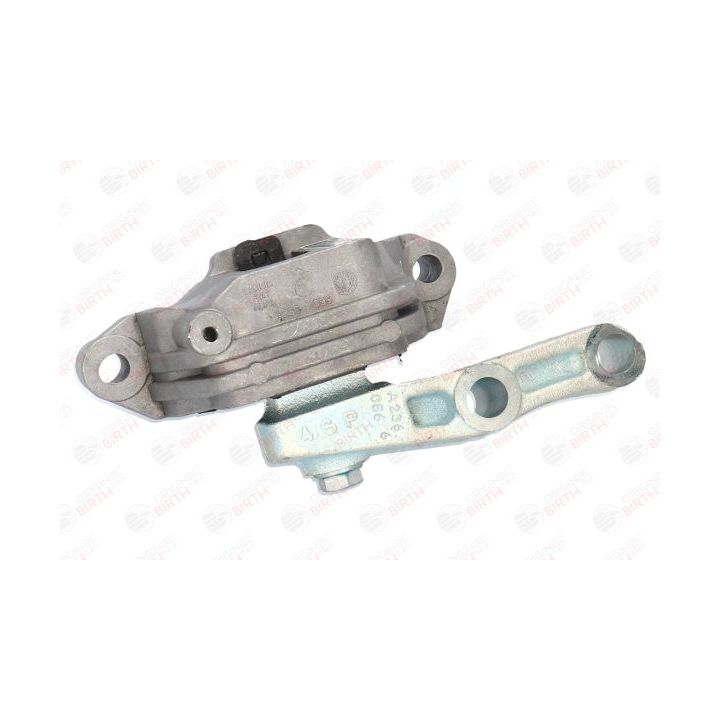 Variklio montavimas BIRTH 52141