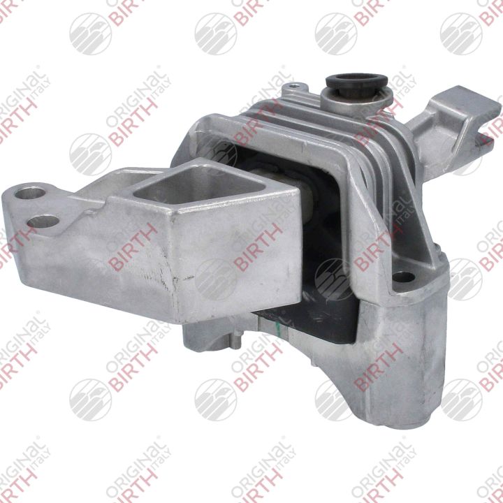 Variklio montavimas BIRTH 52142