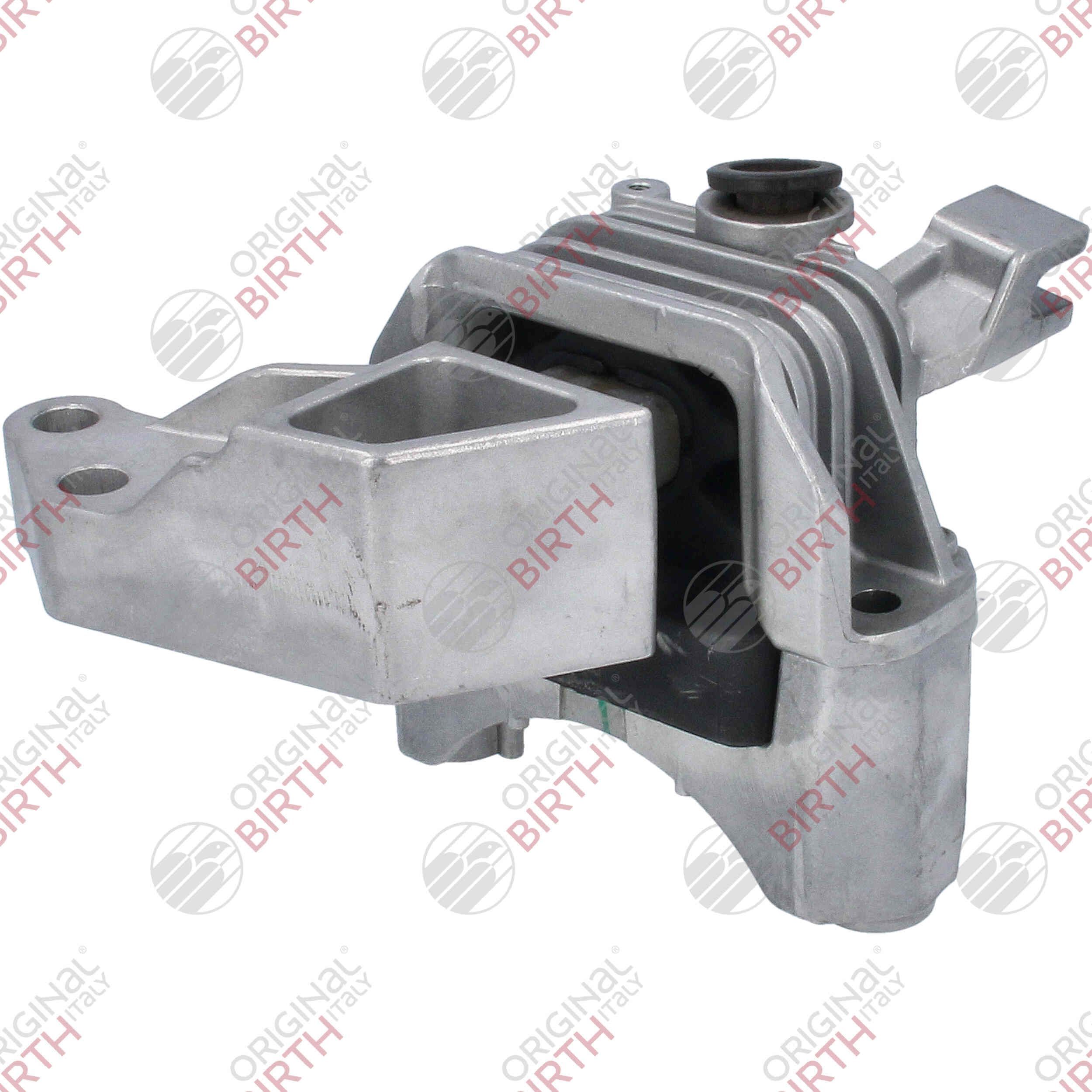 Variklio montavimas BIRTH 52142