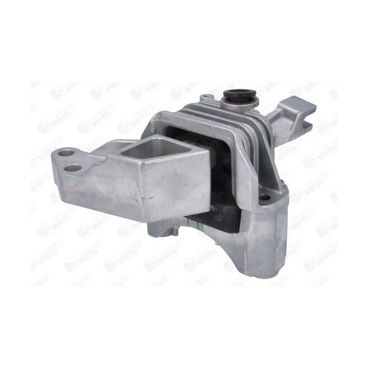 Variklio montavimas BIRTH 52142