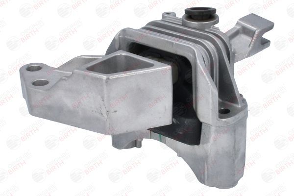 Variklio montavimas BIRTH 52142