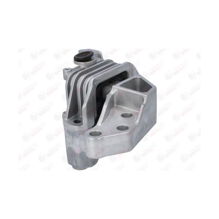 Variklio montavimas BIRTH 52142