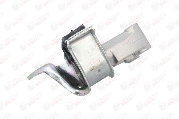 Variklio montavimas BIRTH 52149