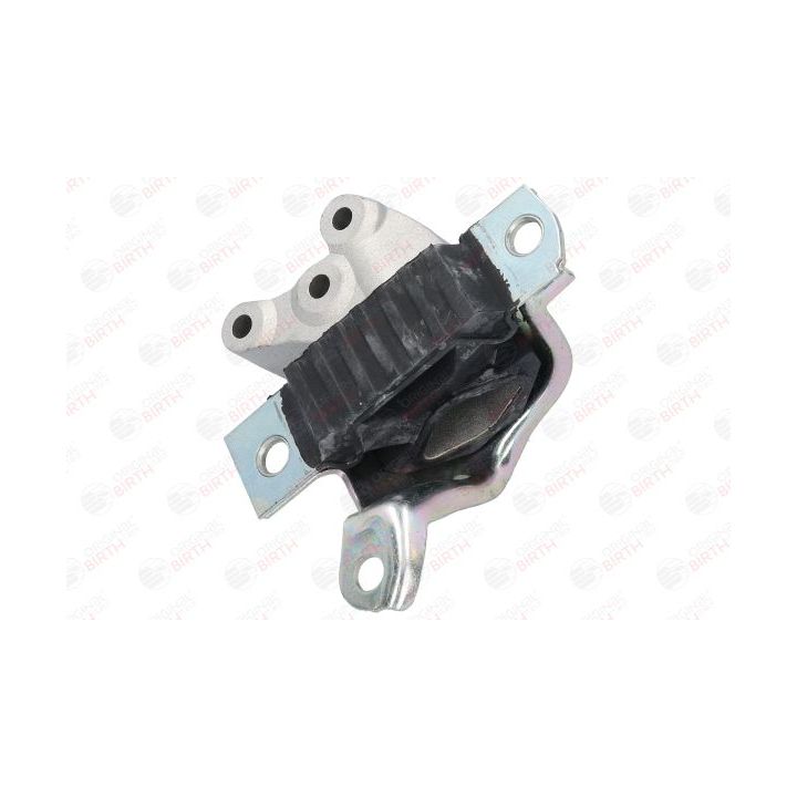 Variklio montavimas BIRTH 52149