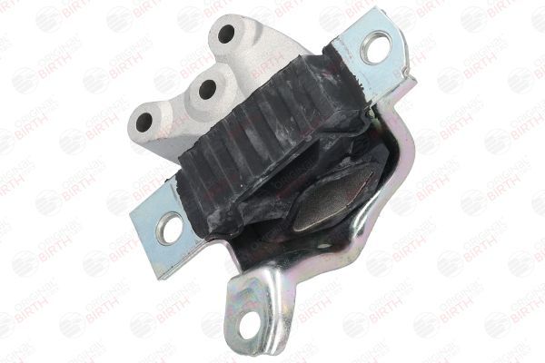 Variklio montavimas BIRTH 52149