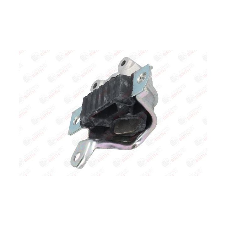 Variklio montavimas BIRTH 52149