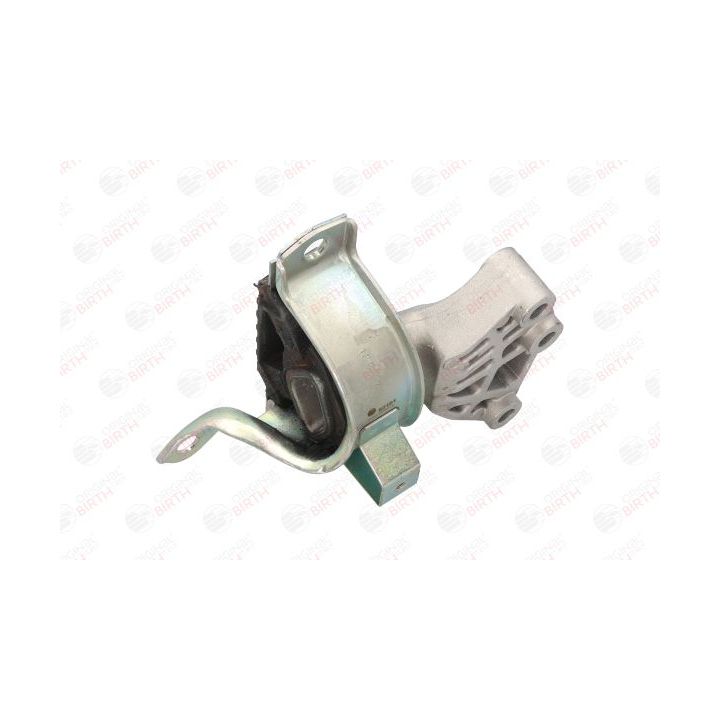 Variklio montavimas BIRTH 52161