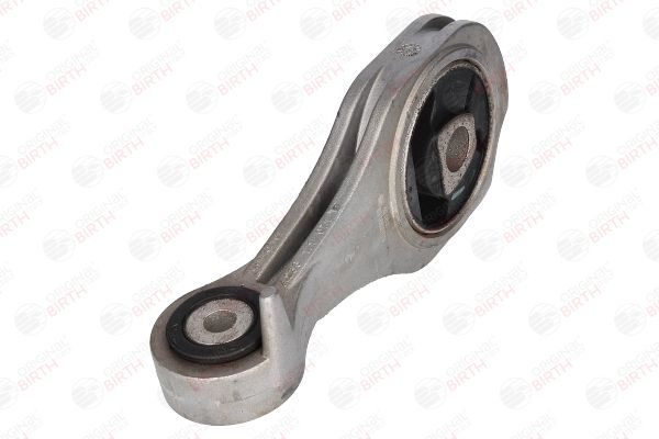 Variklio montavimas BIRTH 52162