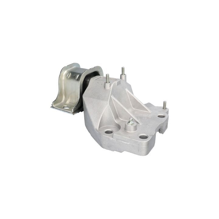 Variklio montavimas BIRTH 52163