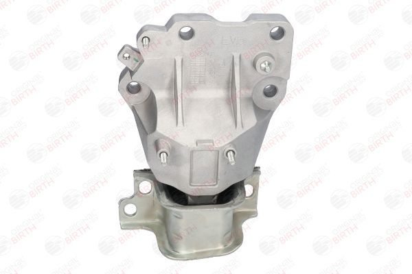 Variklio montavimas BIRTH 52163