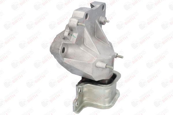 Variklio montavimas BIRTH 52163