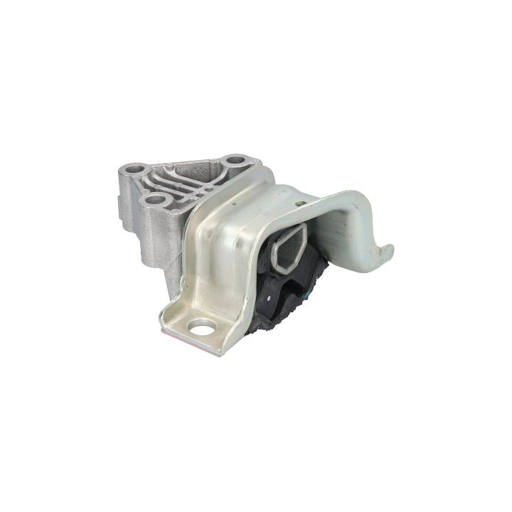 Variklio montavimas BIRTH 52164