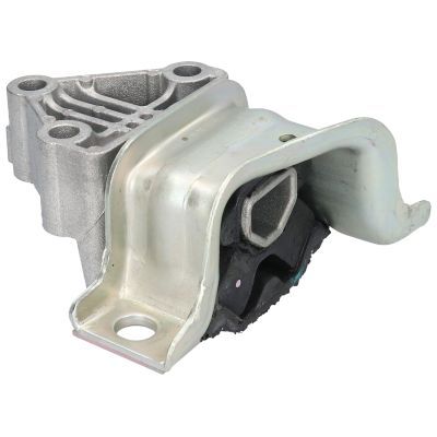 Variklio montavimas BIRTH 52164