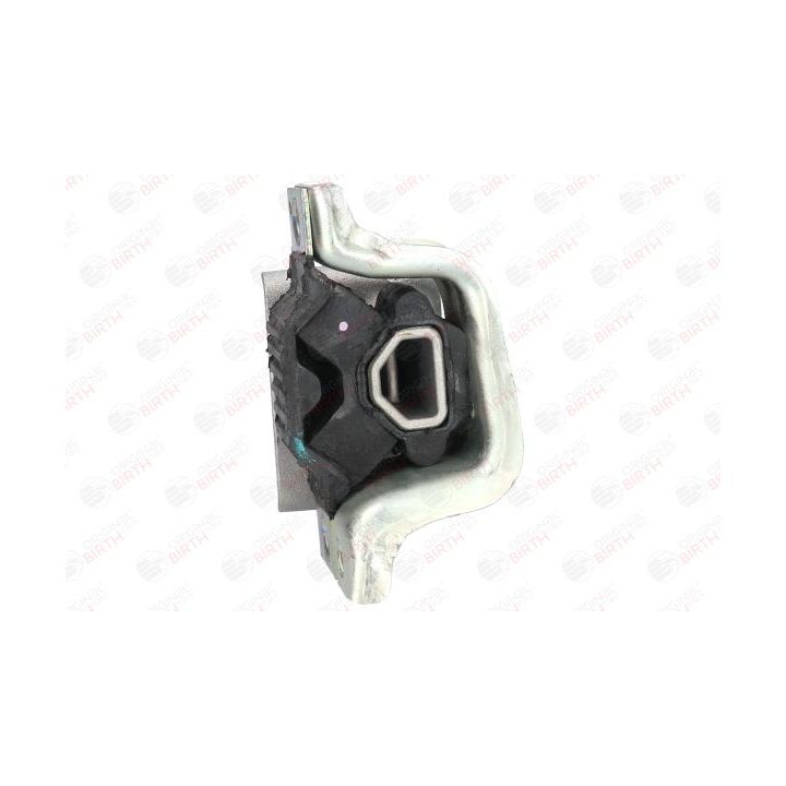 Variklio montavimas BIRTH 52164