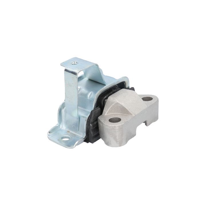 Variklio montavimas BIRTH 52166