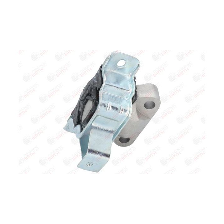 Variklio montavimas BIRTH 52166