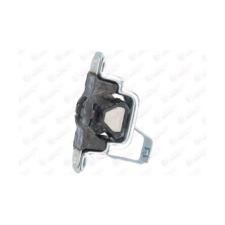 Variklio montavimas BIRTH 52166