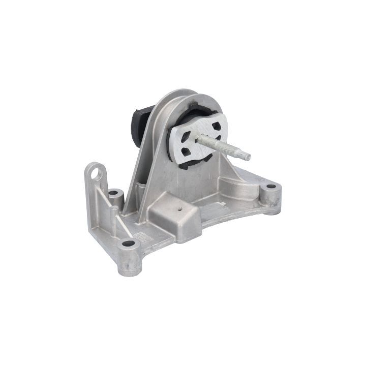 Variklio montavimas BIRTH 52175