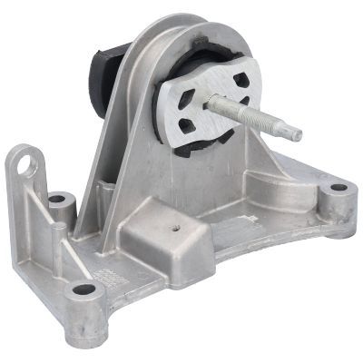 Variklio montavimas BIRTH 52175