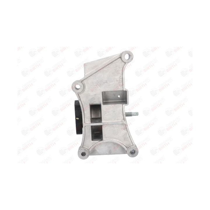 Variklio montavimas BIRTH 52175