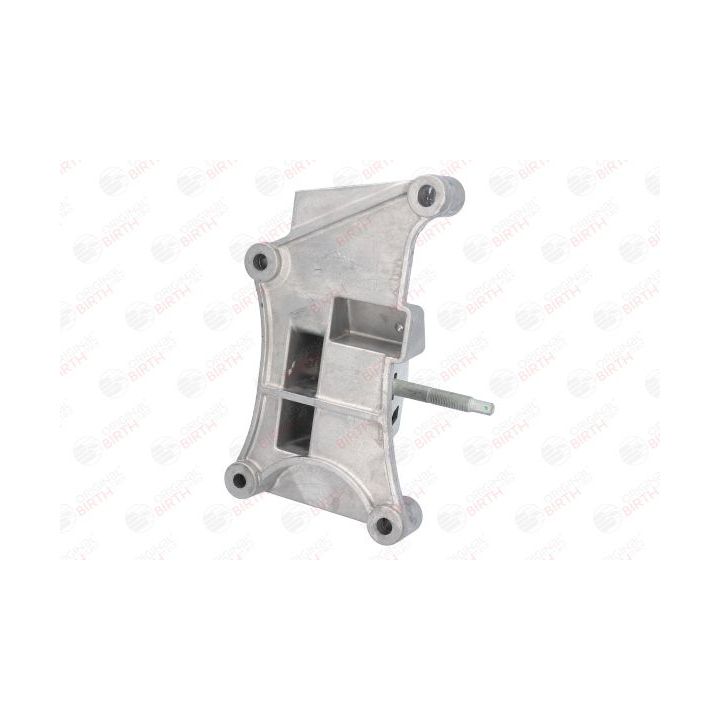 Variklio montavimas BIRTH 52175