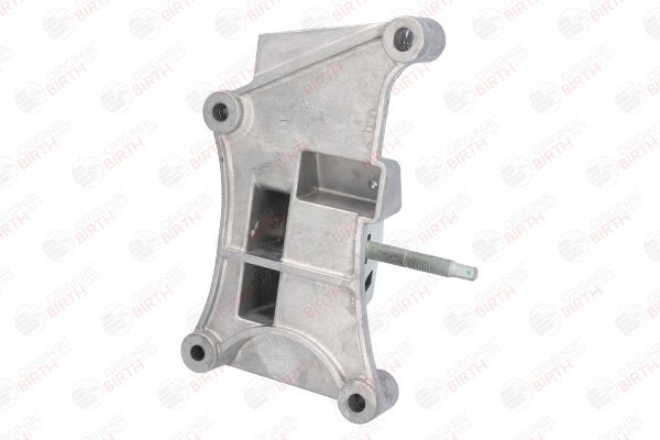 Variklio montavimas BIRTH 52175