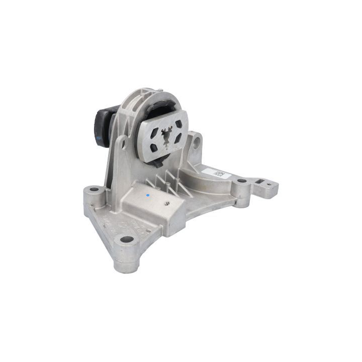 Variklio montavimas BIRTH 52176