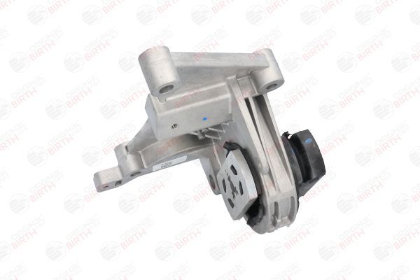 Variklio montavimas BIRTH 52176