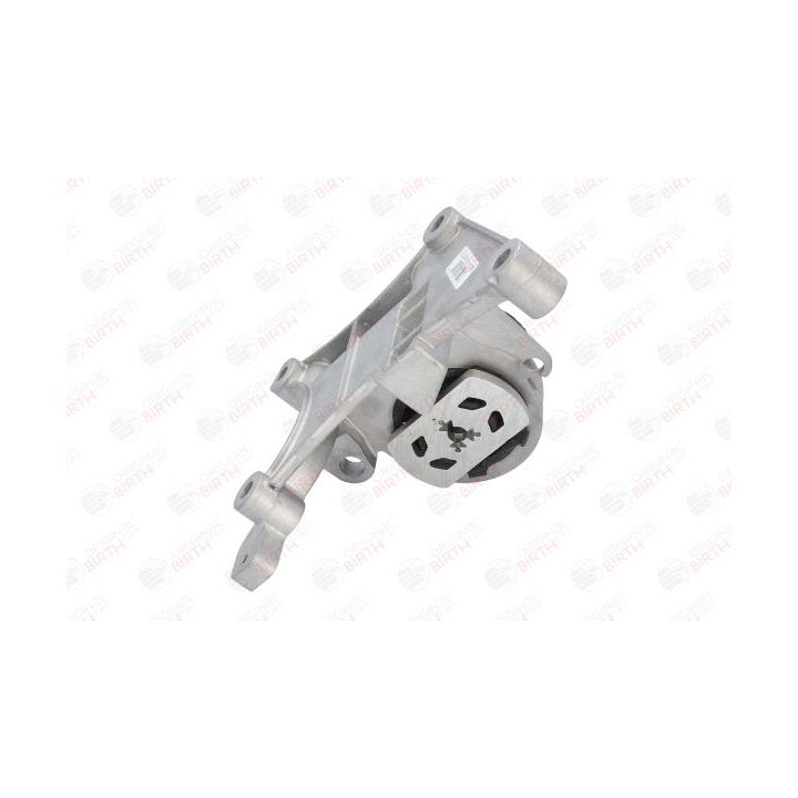 Variklio montavimas BIRTH 52176