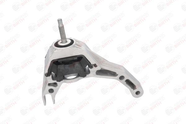 Variklio montavimas BIRTH 52177