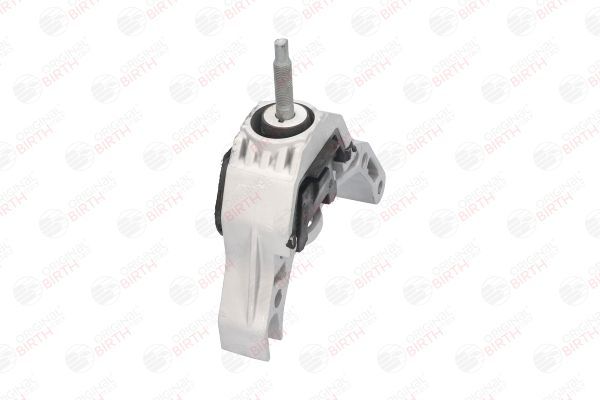 Variklio montavimas BIRTH 52177