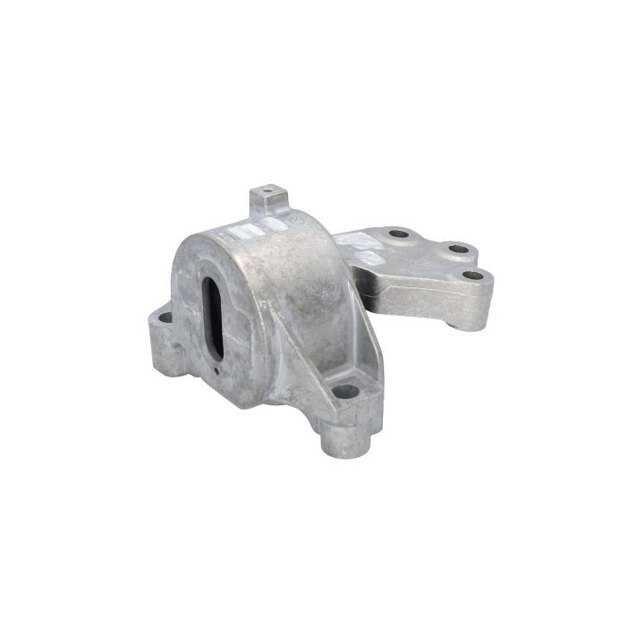 Variklio montavimas BIRTH 52179