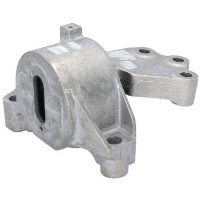 Variklio montavimas BIRTH 52179