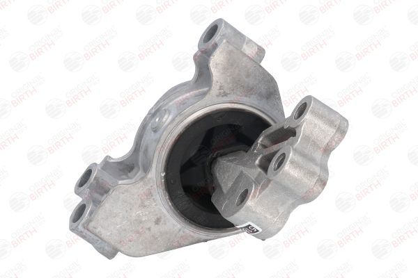 Variklio montavimas BIRTH 52179