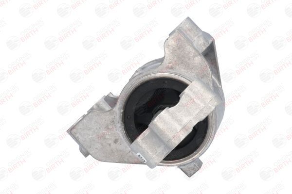 Variklio montavimas BIRTH 52179