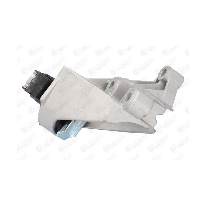 Variklio montavimas BIRTH 52183