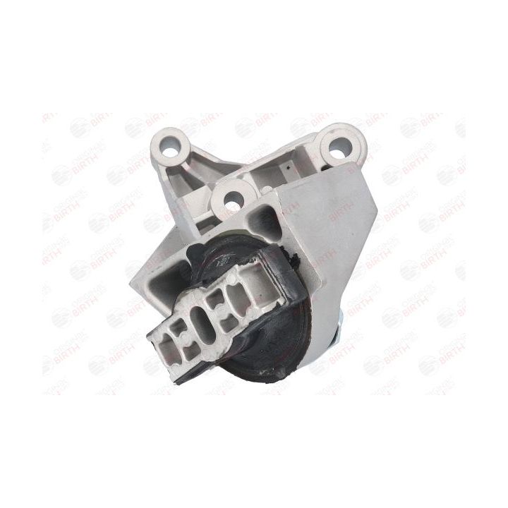 Variklio montavimas BIRTH 52183