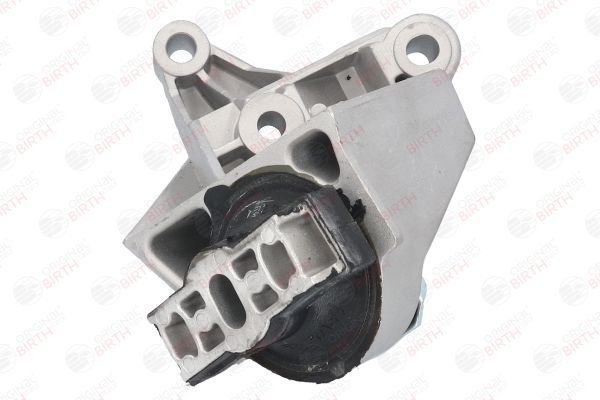 Variklio montavimas BIRTH 52183