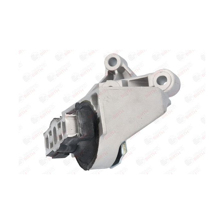 Variklio montavimas BIRTH 52183