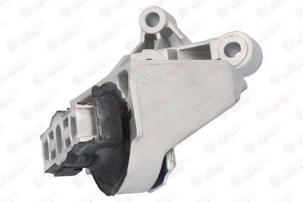 Variklio montavimas BIRTH 52183