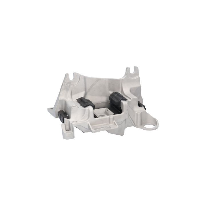 Variklio montavimas BIRTH 52184