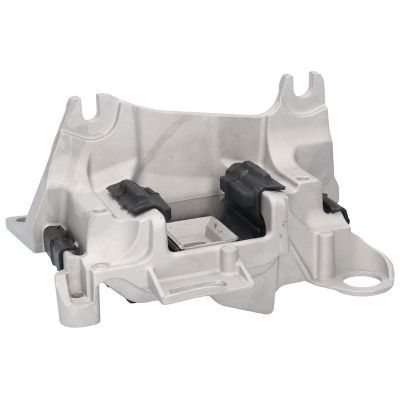 Variklio montavimas BIRTH 52184