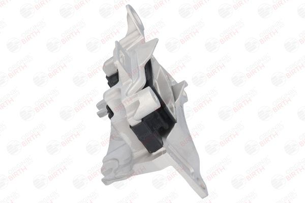 Variklio montavimas BIRTH 52184